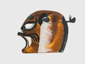El Jaguar de Bronce